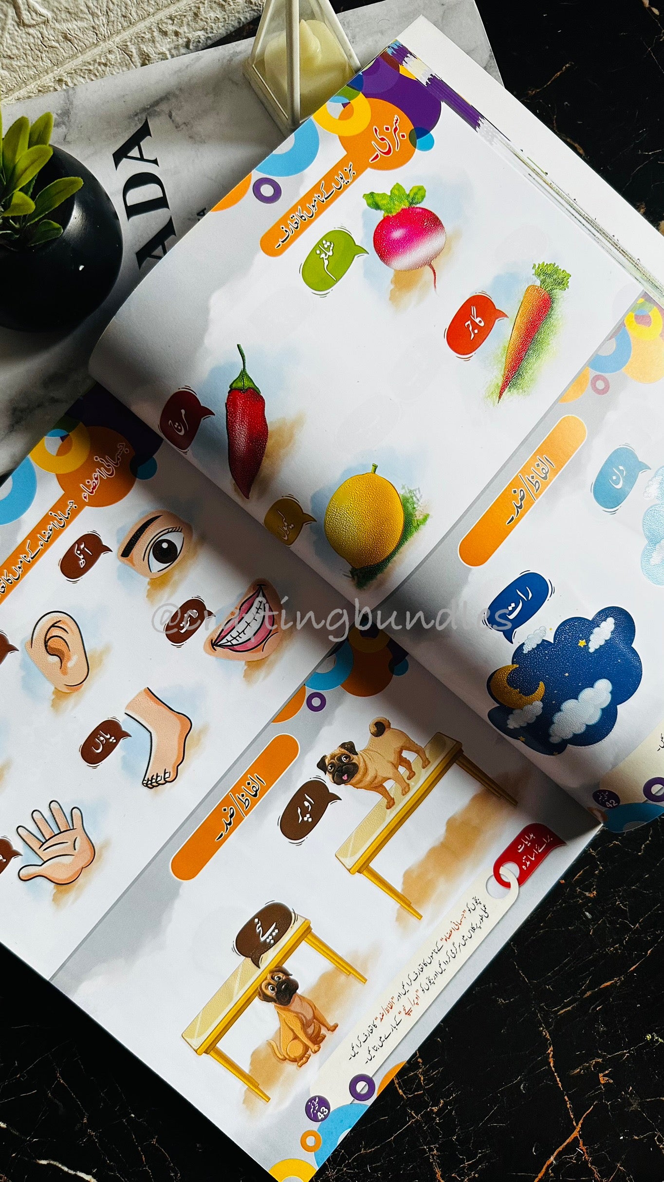 Touch And Feel Reading Books