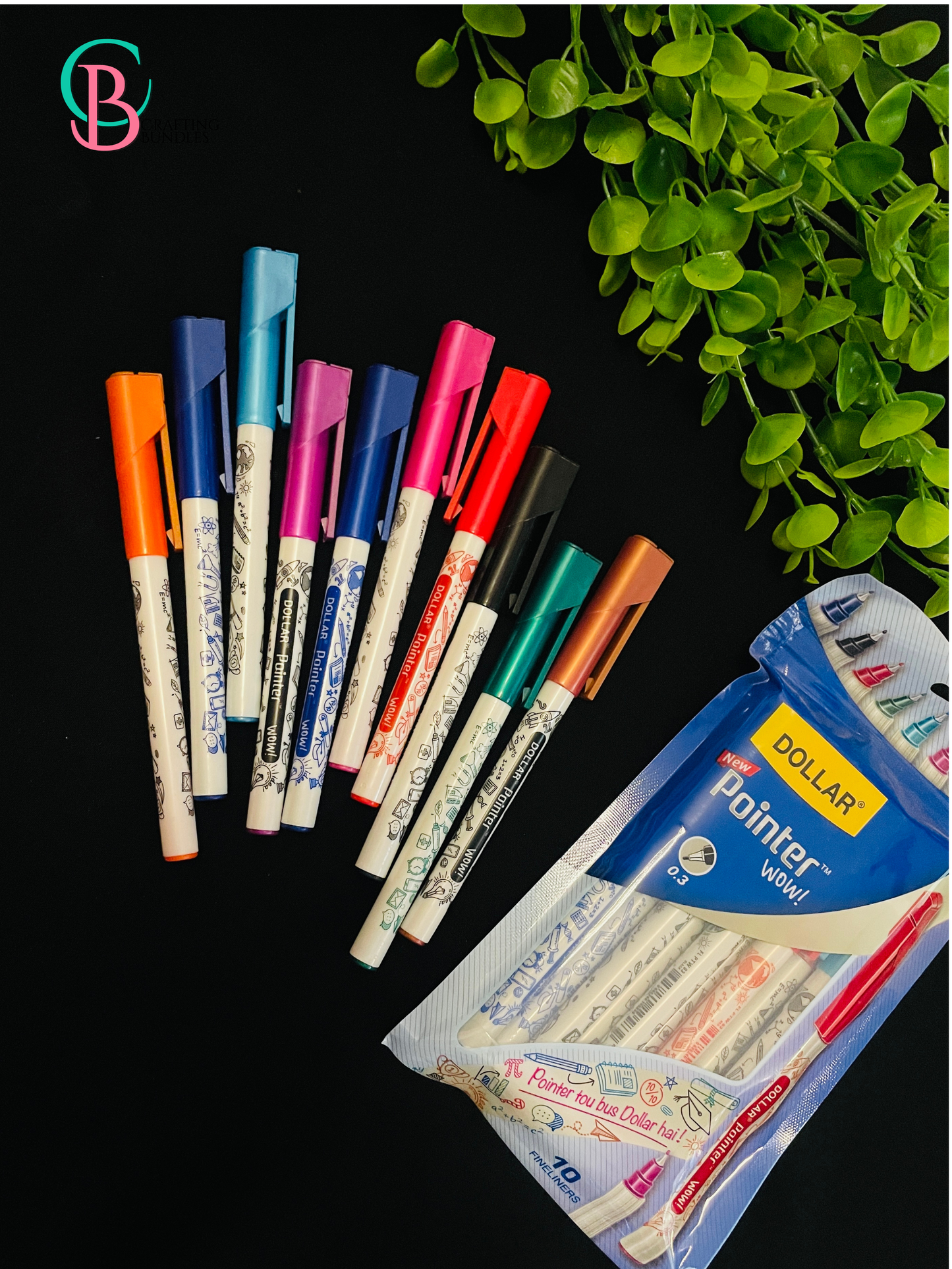 Dollar Colorful Pointer
