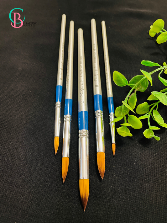 Brush Set 5Pcs