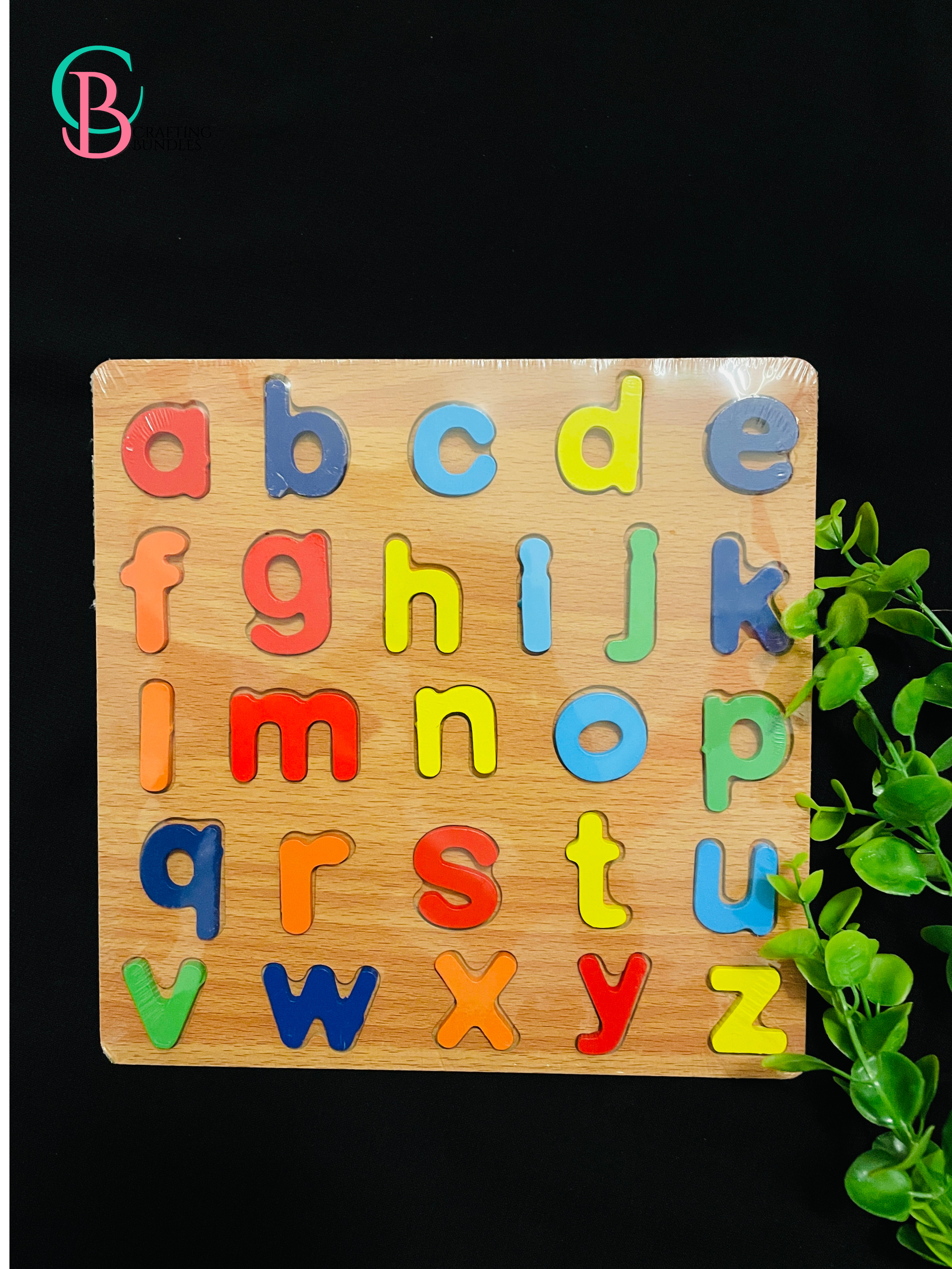 Wooden Acrylic Alphabets
