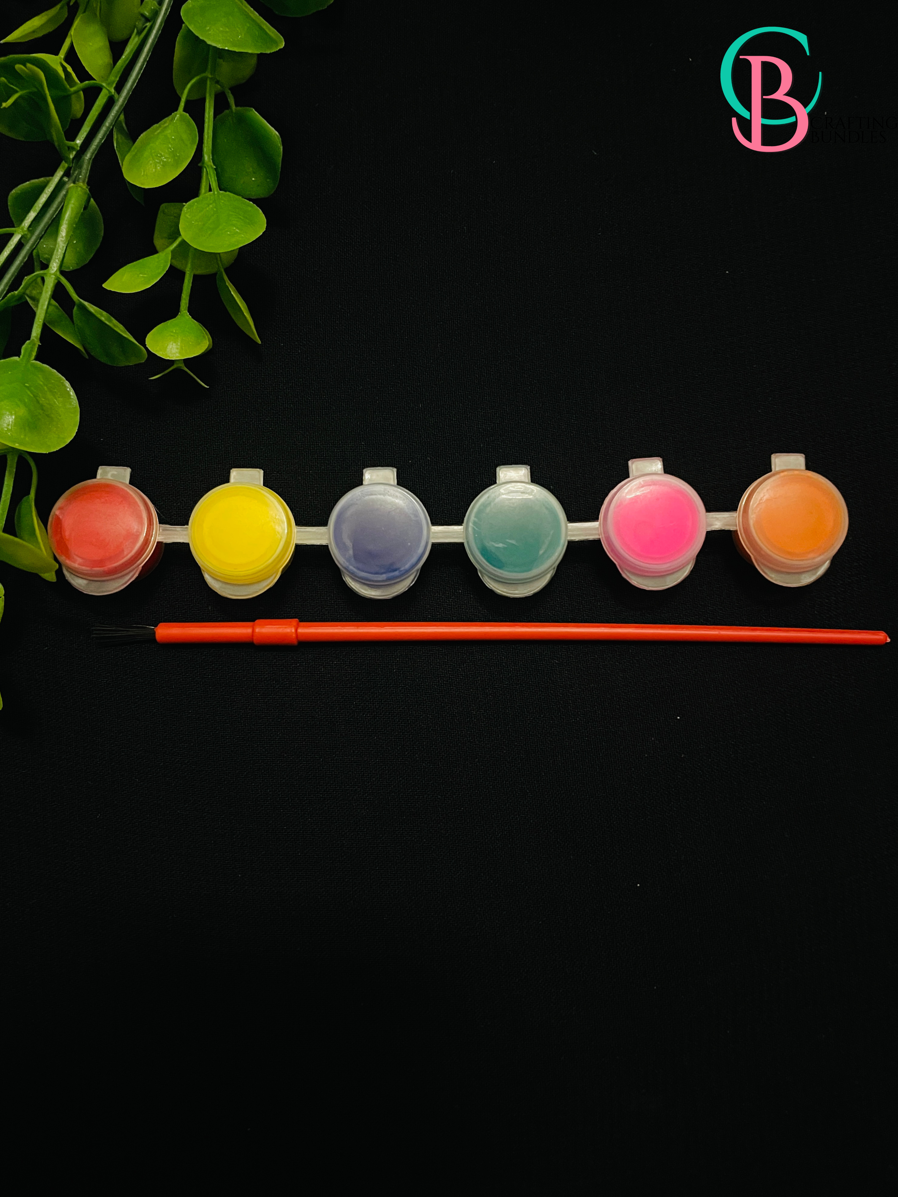 6 Color Mini Paints Tub