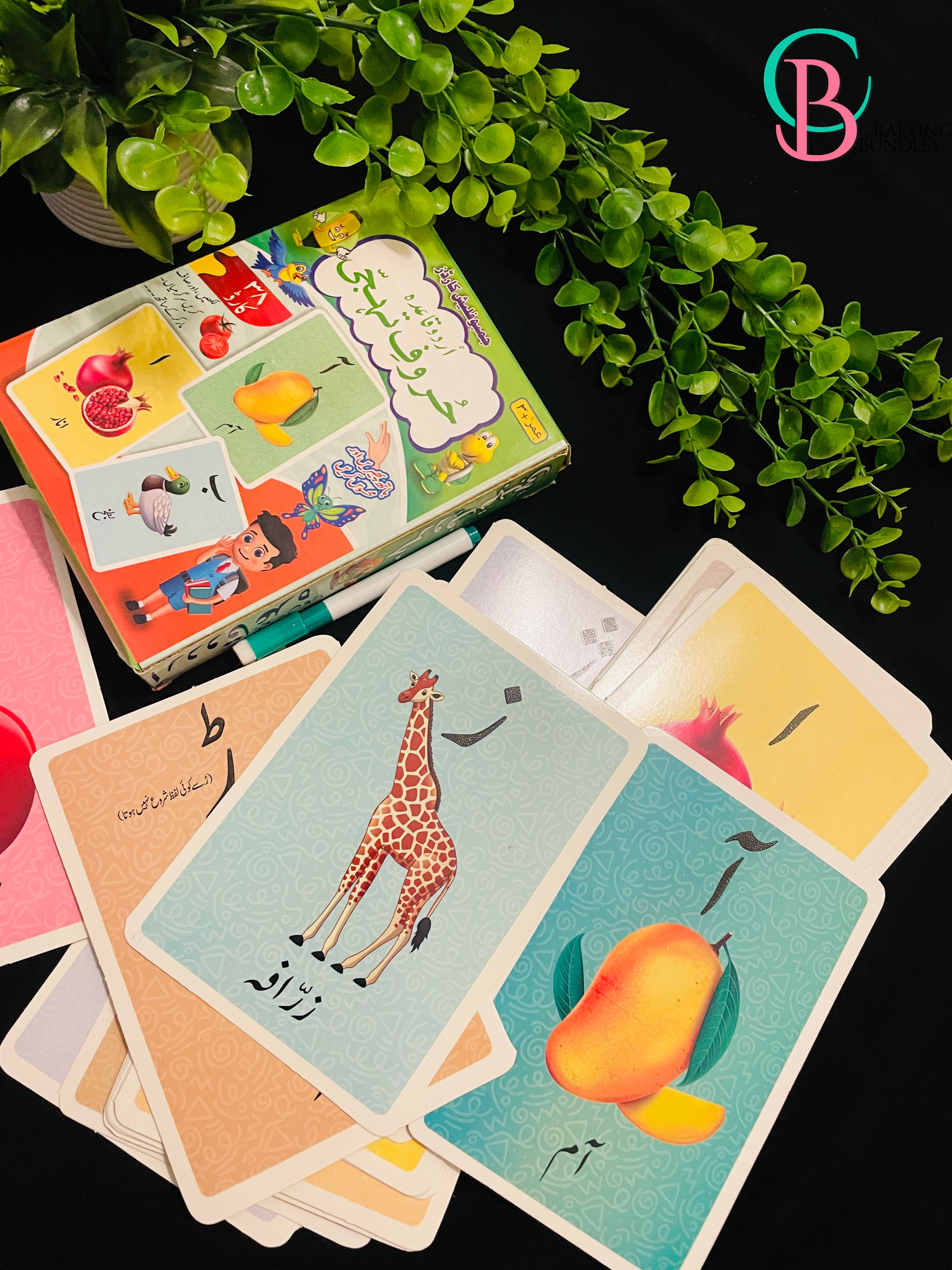 Flash Cards