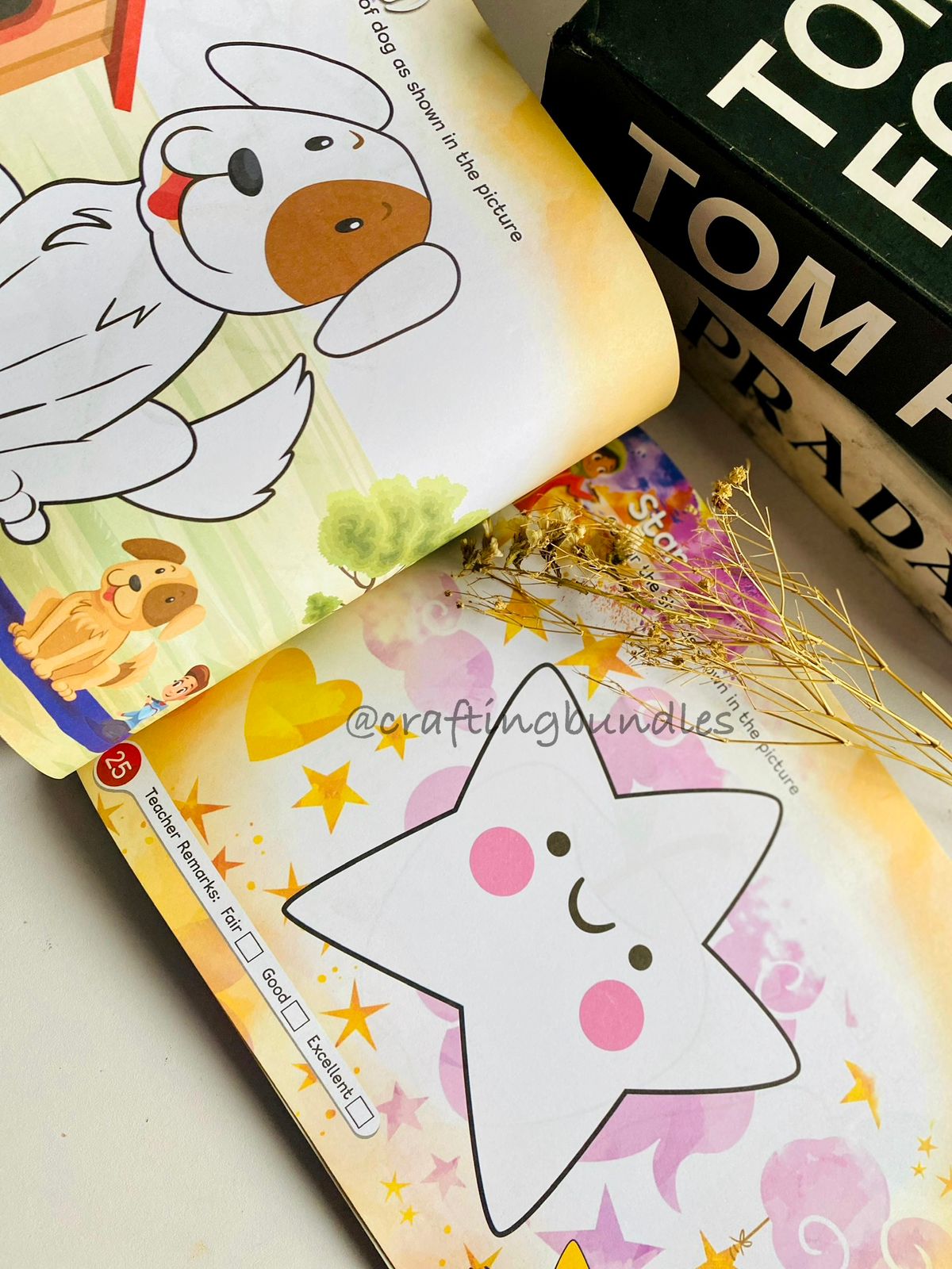 Montessori Reading & Drawing Kit for Toddlers