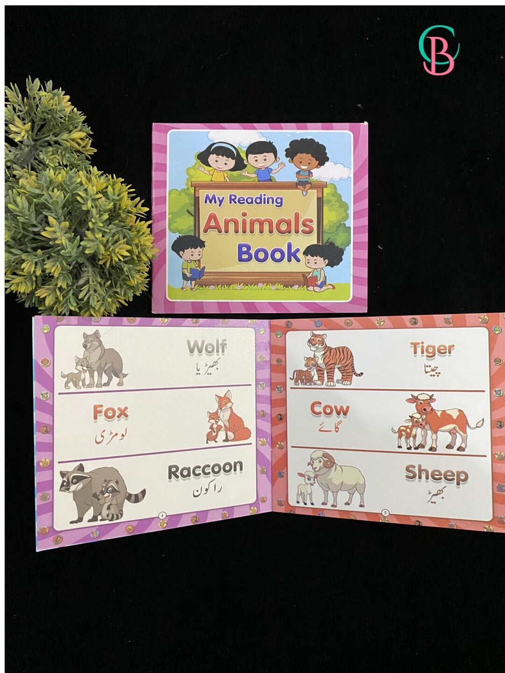 Montessori Reading Books Set for Kids