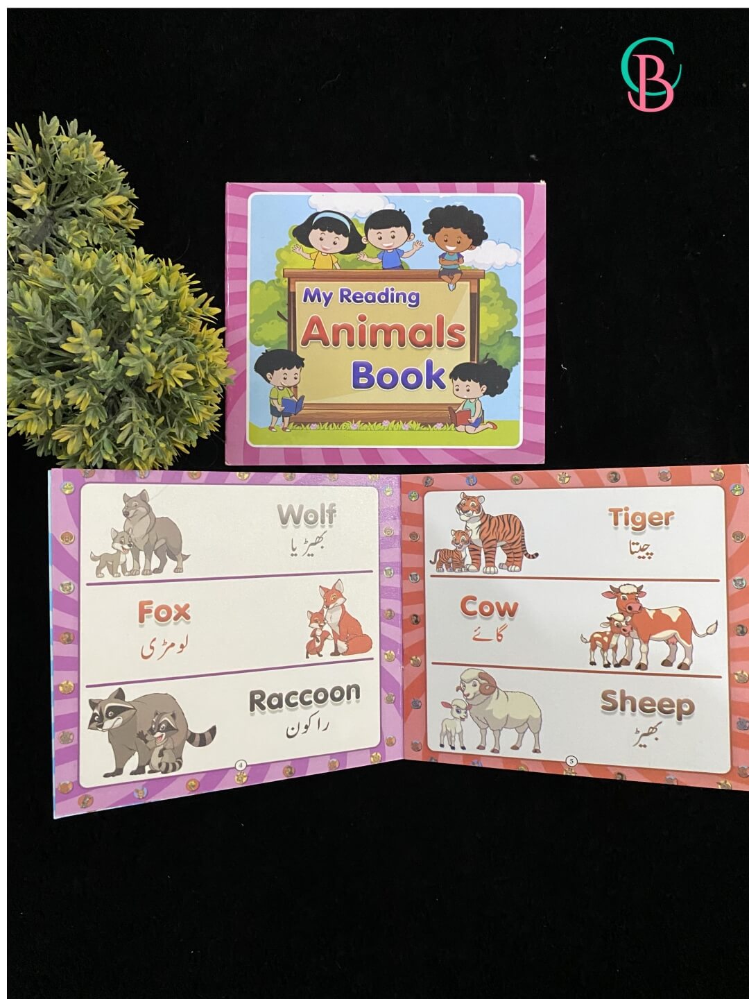 Montessori Reading Books Set for Kids