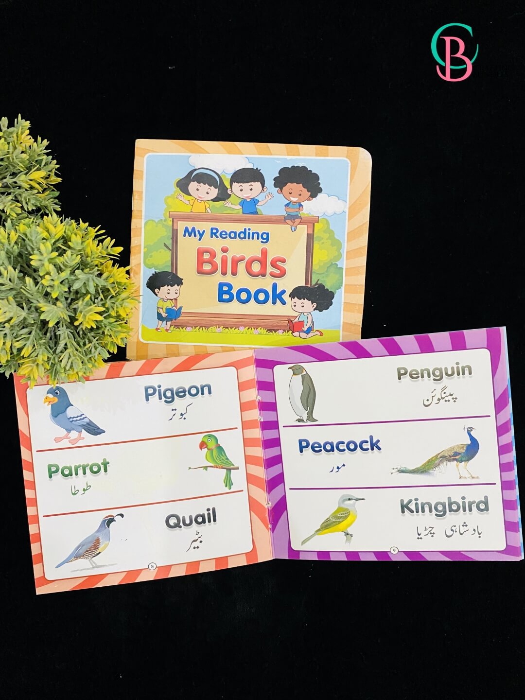 Montessori Reading Books Set for Kids