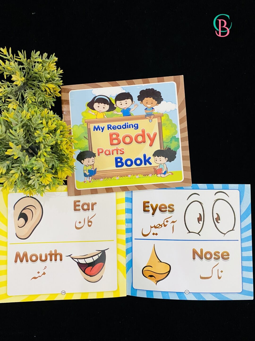 Montessori Reading Books Set for Kids