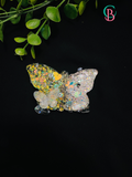 Squishy Butterfly