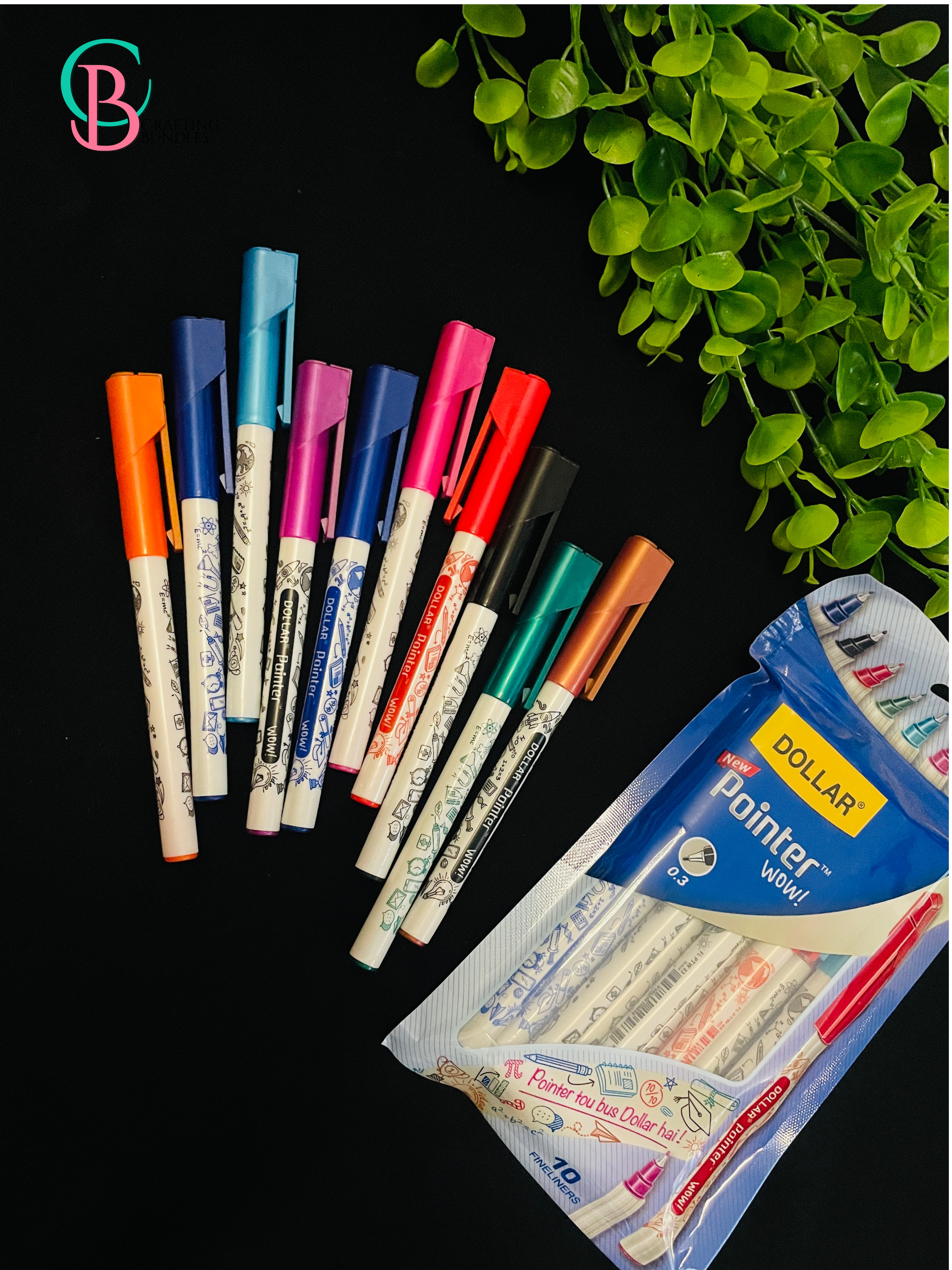 Dollar Colorful Pointer