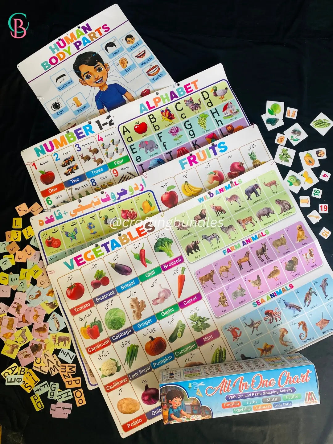 Wall Chart Activity for Kids