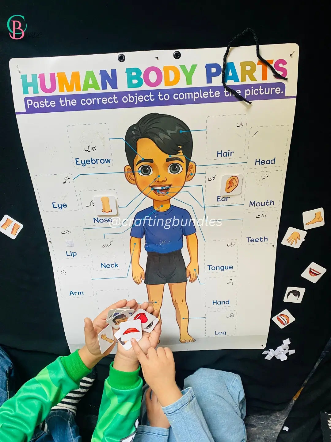 Wall Chart Activity for Kids
