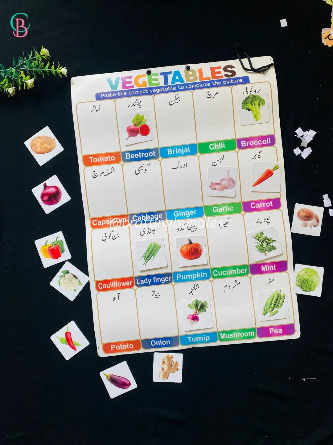 Wall Chart Activity for Kids