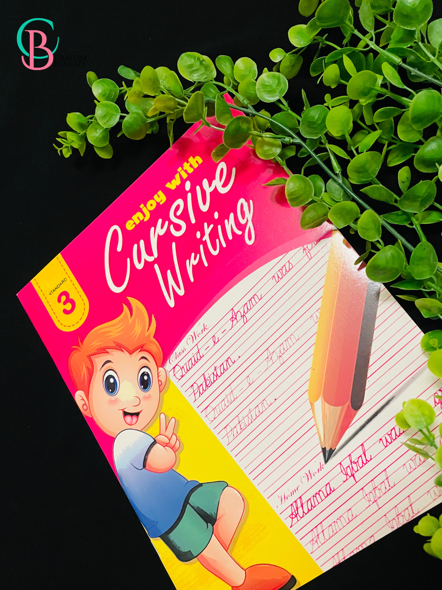 Cursive Writing Books
