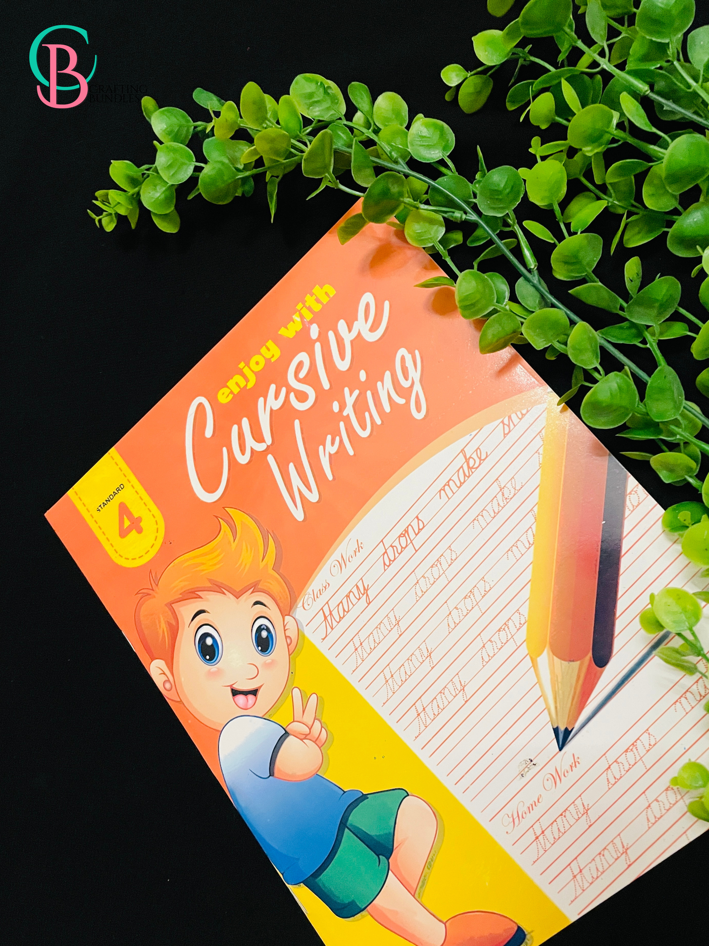 Cursive Writing Books