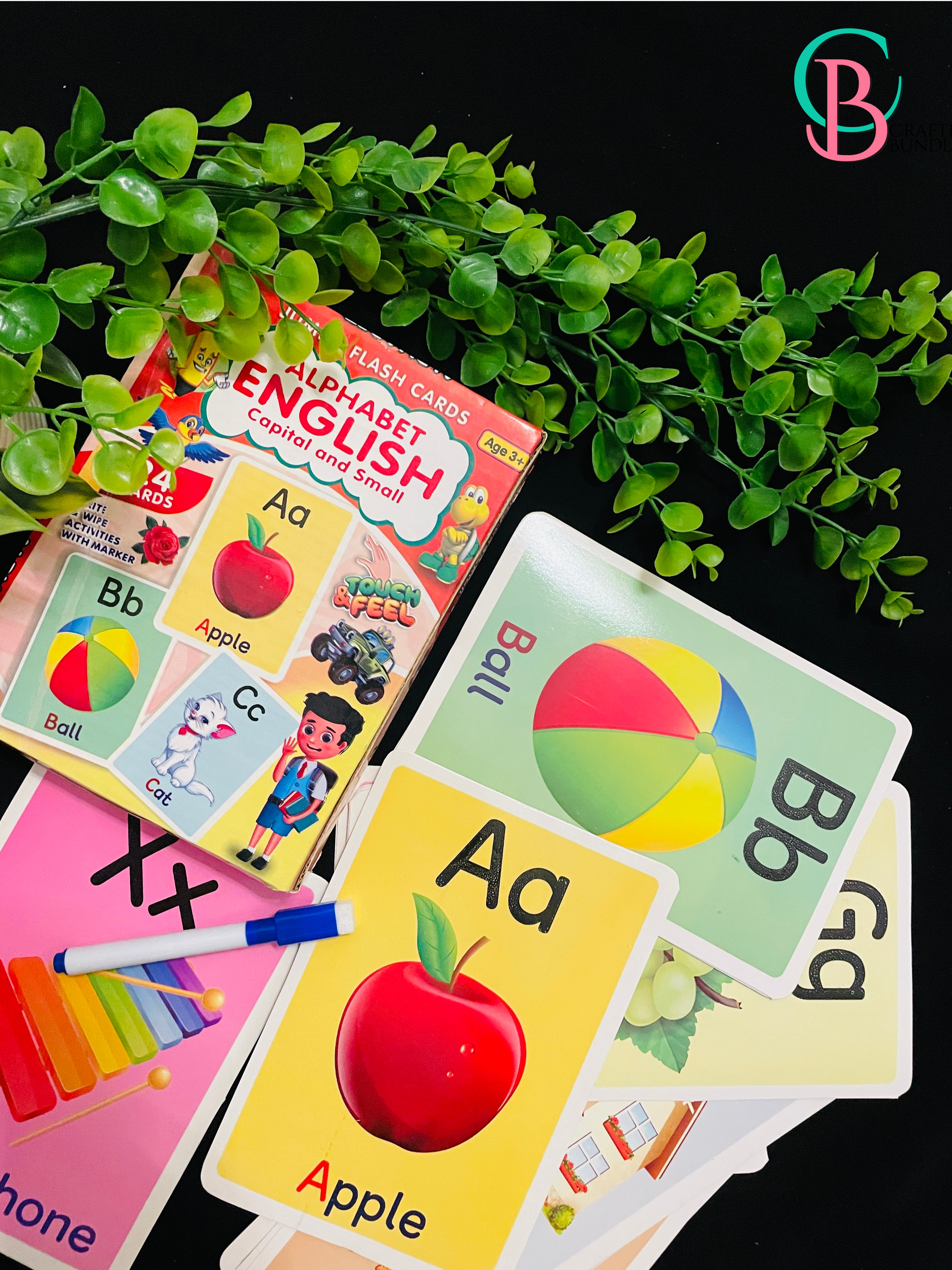 Flash Cards