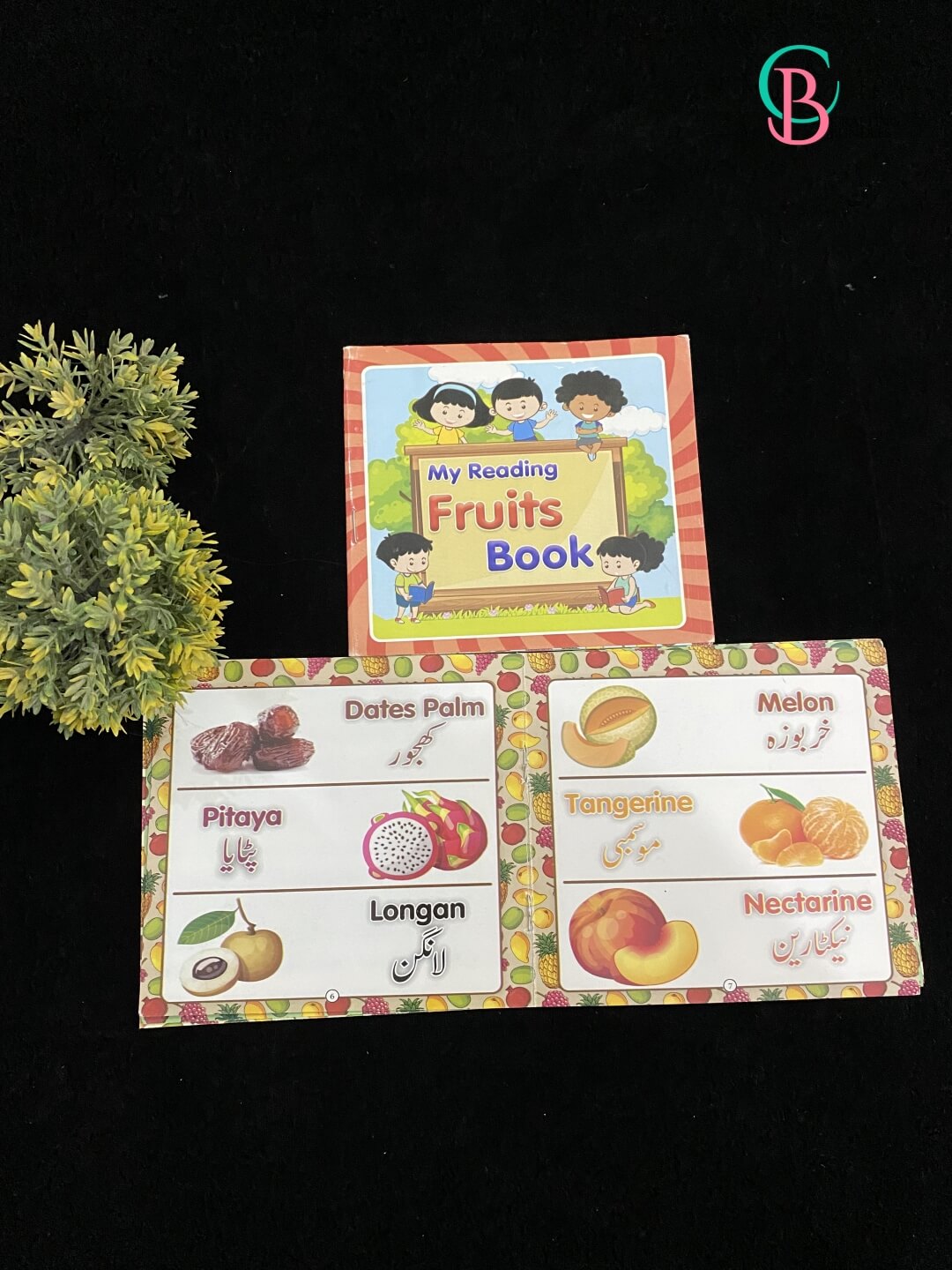 Montessori Reading Books Set for Kids