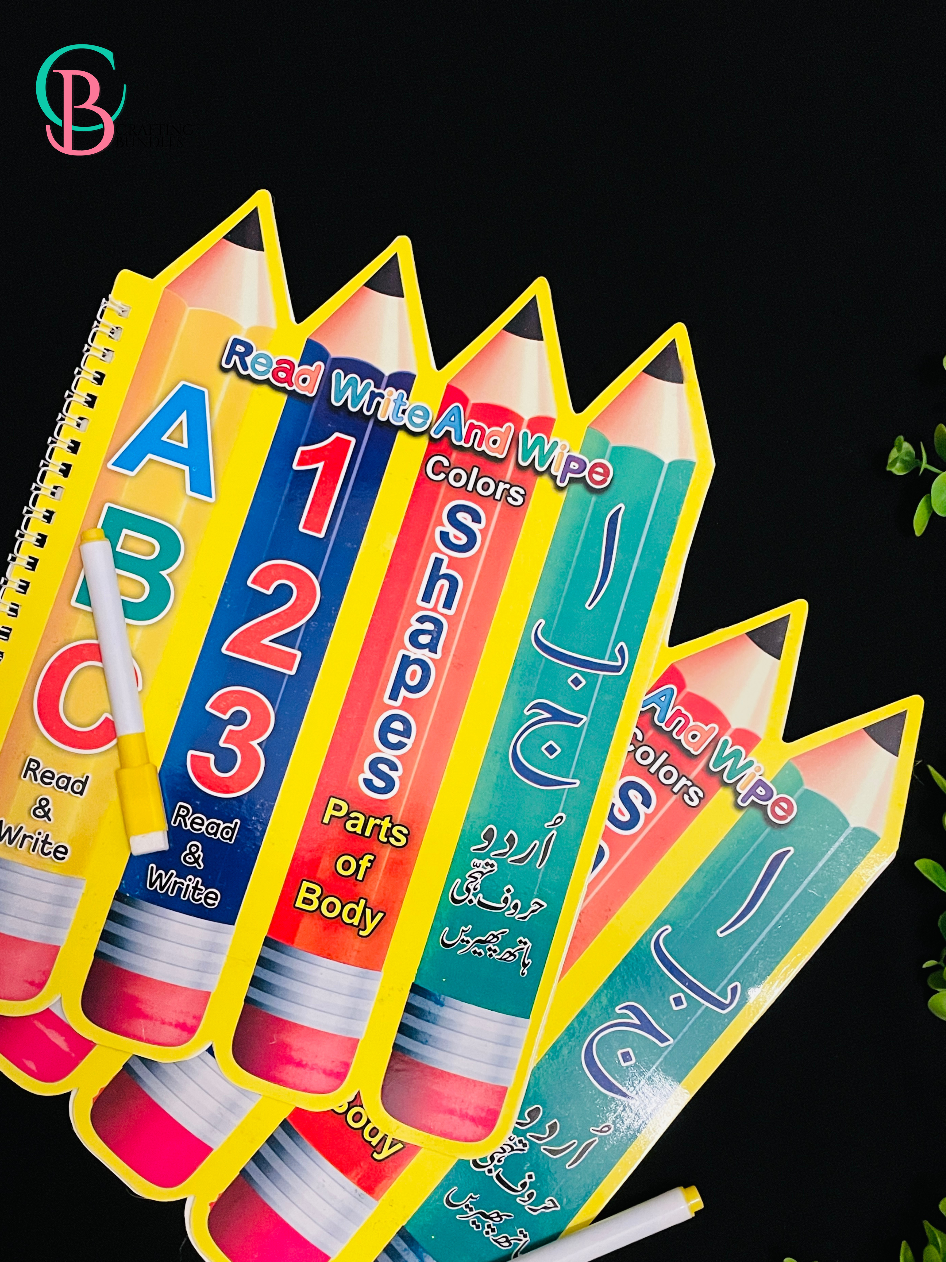 Read Write Wipe Book